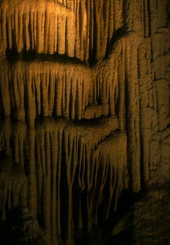 e0020655_23103661.jpg