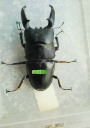 f0063356_18261679.jpg