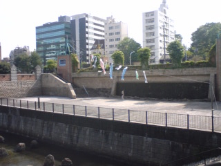 d0067357_0143523.jpg
