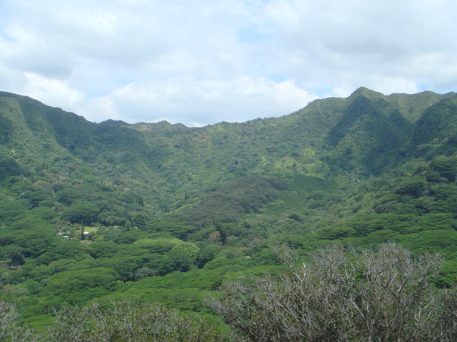 a0067962_18524716.jpg