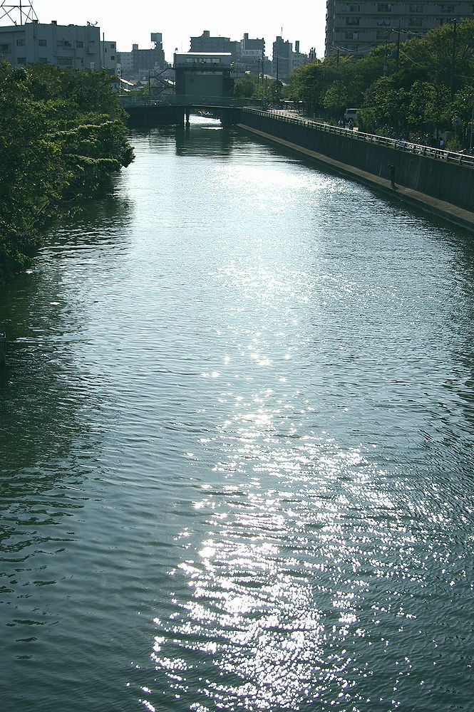 c0062763_23511362.jpg