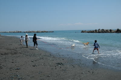 f0118263_0235940.jpg