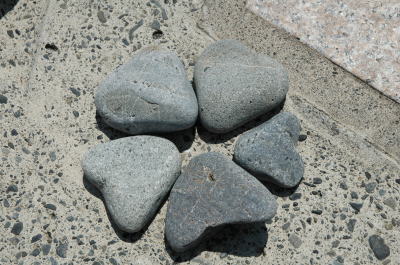f0118263_034237.jpg
