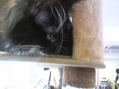 c0024265_11425819.jpg