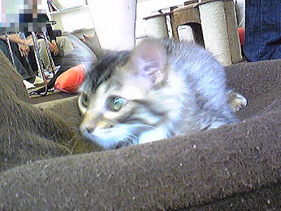 c0024265_11453337.jpg