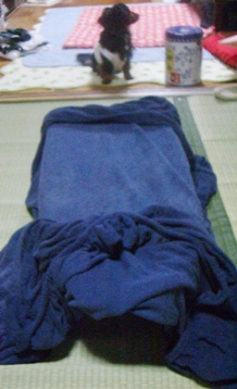 d0071269_212082.jpg