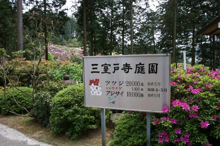 e0002371_1874558.jpg