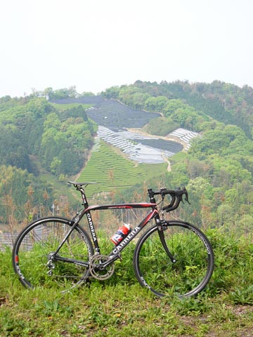 c0107075_842317.jpg