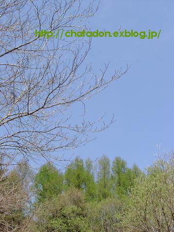 a0091680_22193396.jpg