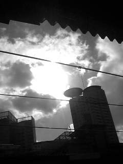 f0100480_13524538.jpg