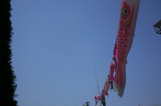 e0116383_012748.jpg