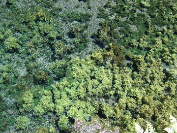 d0070289_15122881.jpg