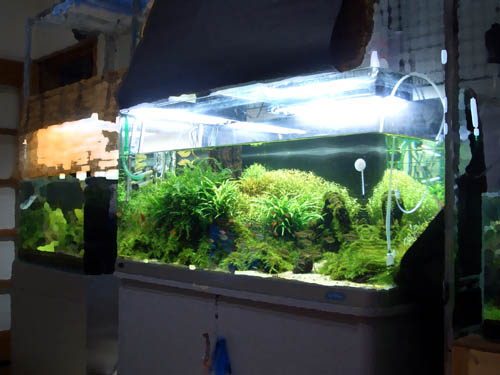 a0049090_22322596.jpg