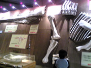 a0087691_21553316.jpg