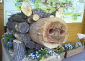 f0008692_2144532.jpg