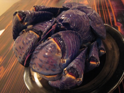 f0093592_22524564.jpg