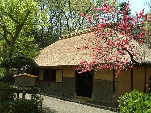 d0102497_22202726.jpg