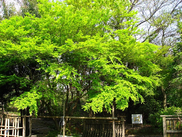 d0102497_22281731.jpg