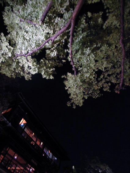 d0100502_22204594.jpg