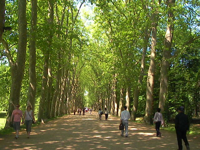 f0038407_20203967.jpg