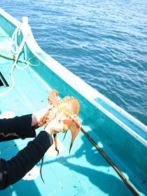e0028810_12112739.jpg