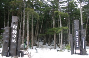 e0078510_22325715.jpg