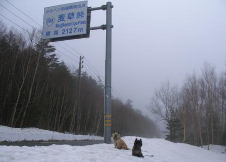 e0078510_2243468.jpg