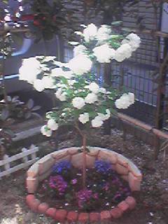 e0110710_11103910.jpg