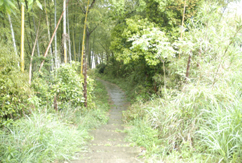 e0056411_22513611.jpg