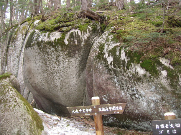 d0103314_043513.jpg