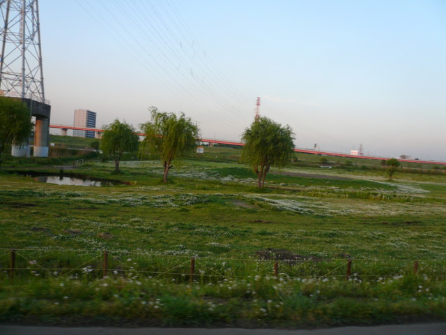 a0077616_19315031.jpg
