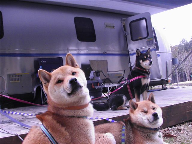 f0041917_22313067.jpg