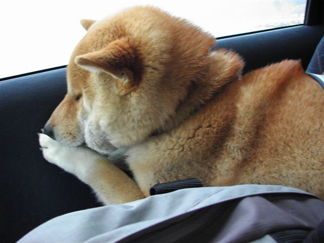f0041917_22315240.jpg
