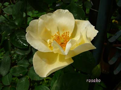 f0059818_13173375.jpg