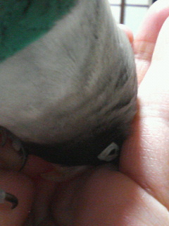 f0126418_20124423.jpg