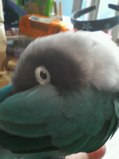f0126418_2052525.jpg