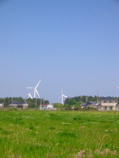 c0094621_10443821.jpg