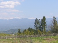 d0006323_12583345.jpg