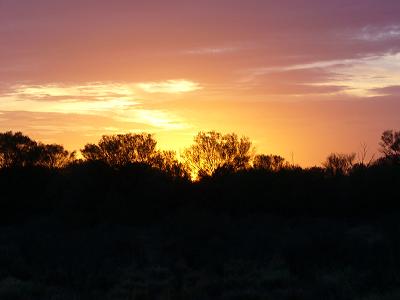d0009323_1639481.jpg