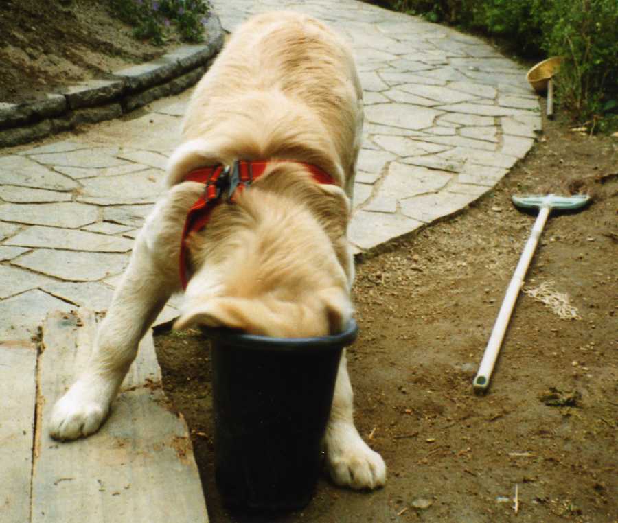 f0127523_16114576.jpg
