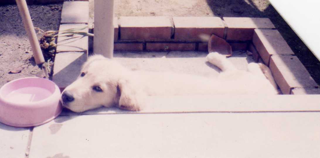 f0127523_1673926.jpg
