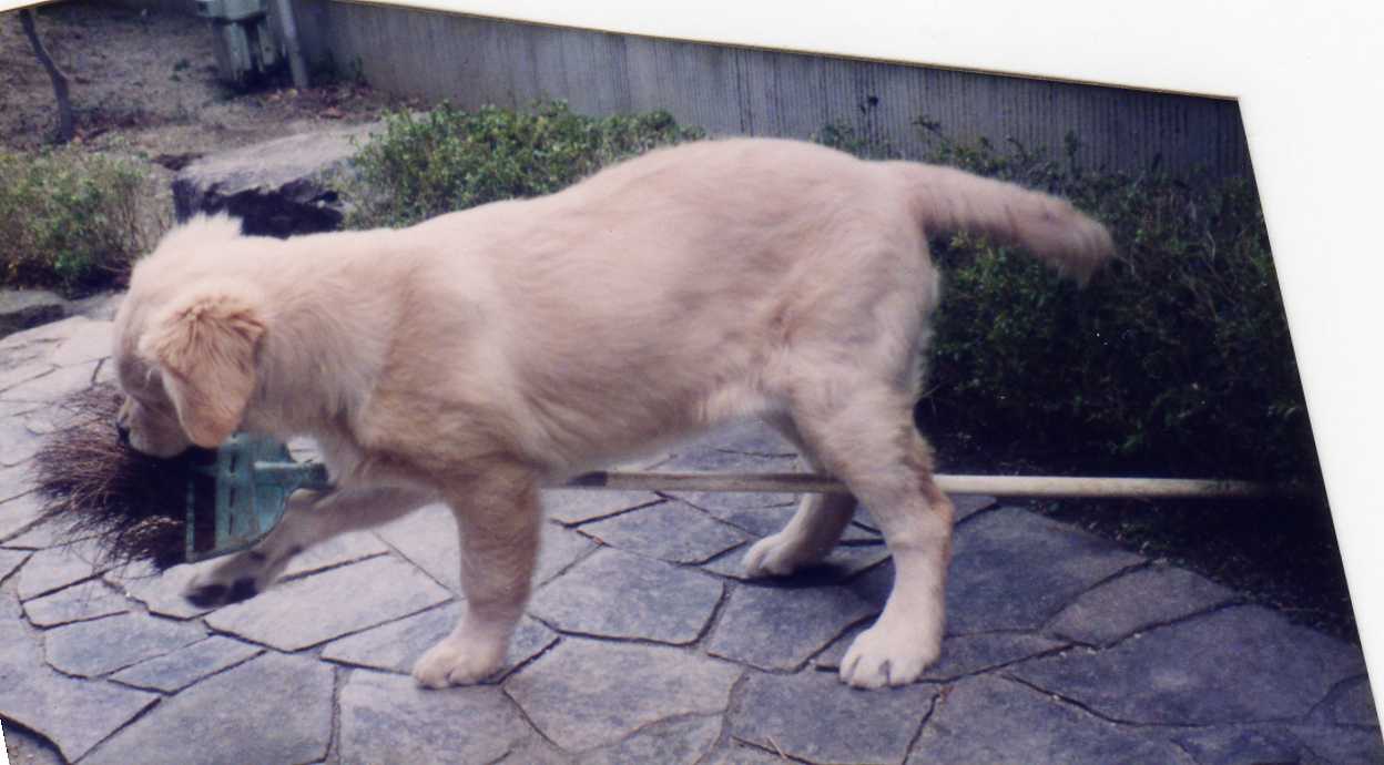f0127523_1683187.jpg