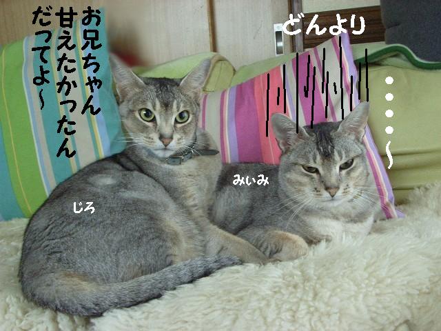 d0081025_20322644.jpg