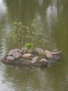 e0047026_20583756.jpg