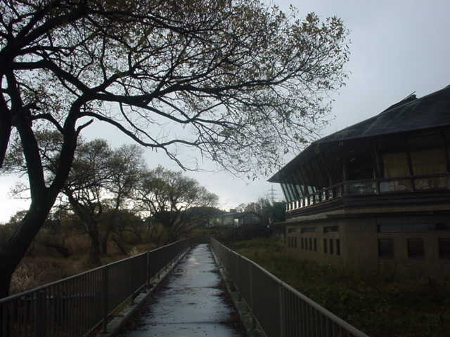 d0004627_22121897.jpg