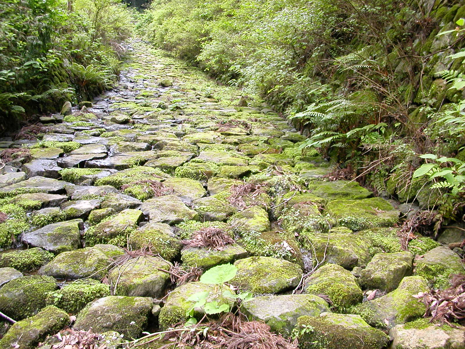 e0033229_22541434.jpg