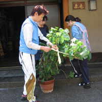 d0033734_10481337.jpg
