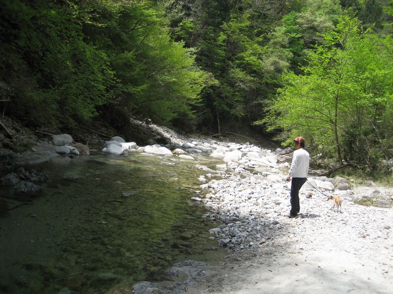 a0019637_233525100.jpg