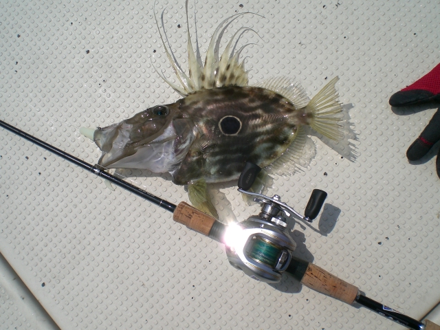 f0009238_2062020.jpg