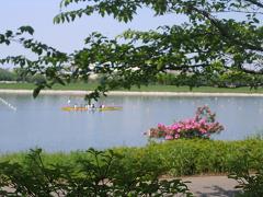 b0024439_9555891.jpg